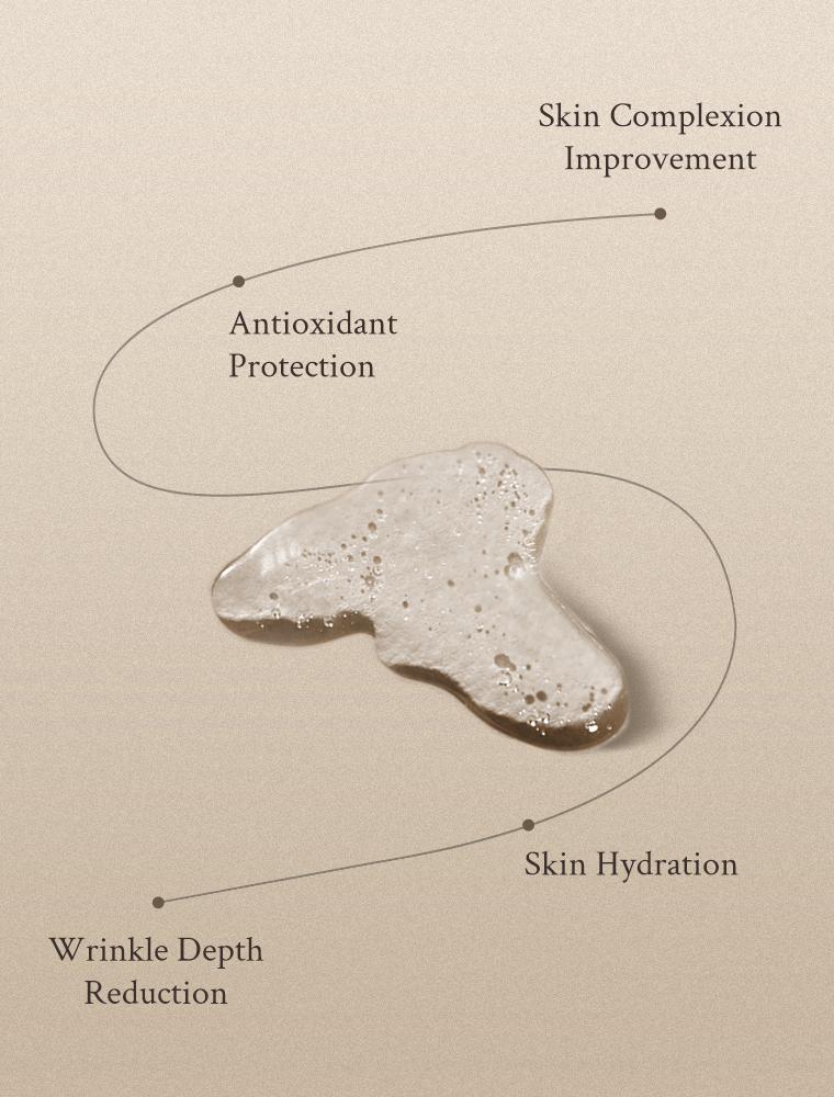 VILLAGE 11 FACTORY Active Clean Toner