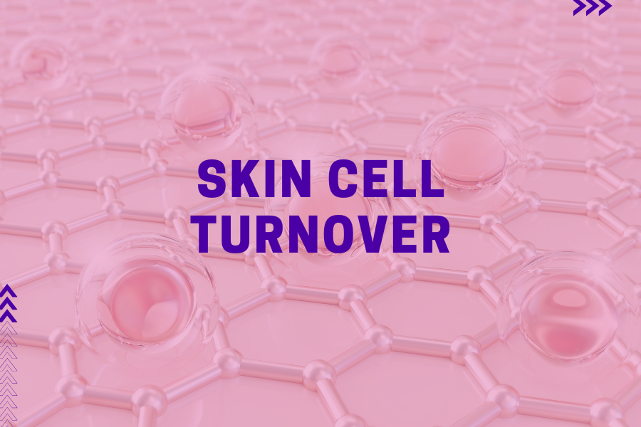Skin cell turnover – So oft erneuert sich unsere Haut Skin cell turnover – So oft erneuert sich unsere Haut