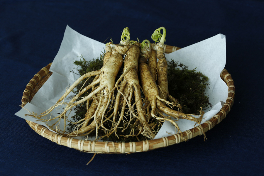 Beauty Power Pflanze Ginseng Beauty Power Pflanze Ginseng