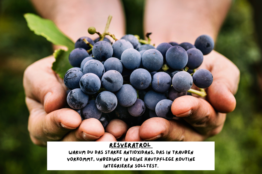 Resveratrol – So wirkt der Anti Aging Wirkstoff