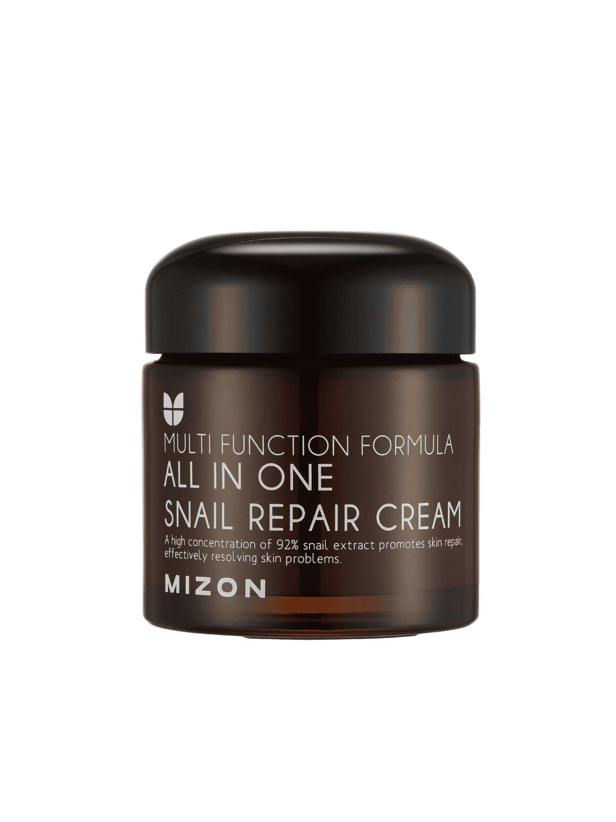 MIZON All In One Snail Repair Cream