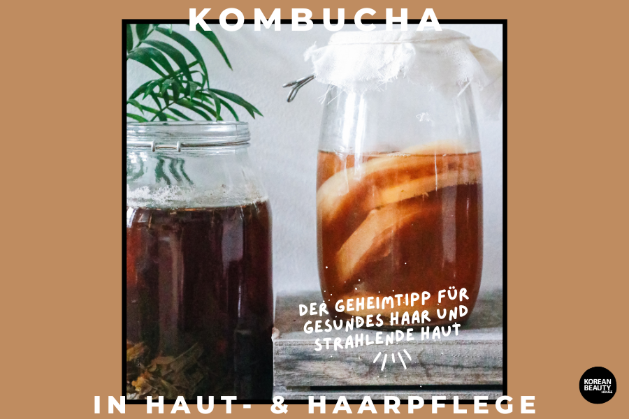 Kombucha – Der Geheimtipp für gesundes Haar und strahlende Haut Kombucha – Der Geheimtipp für gesundes Haar und strahlende Haut