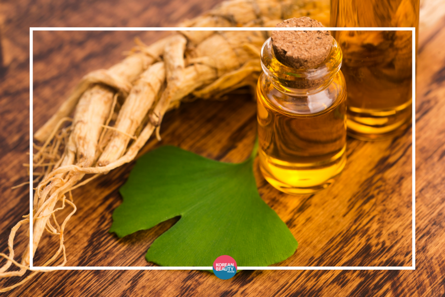 Beauty Power Pflanze Ginseng Beauty Power Pflanze Ginseng
