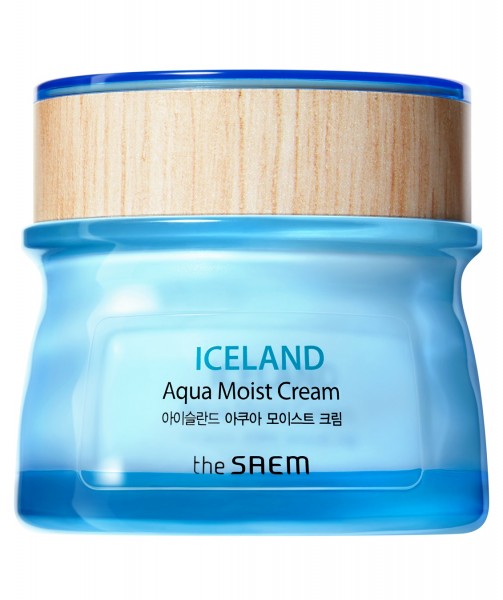 THE SAEM Iceland Aqua Moist Cream